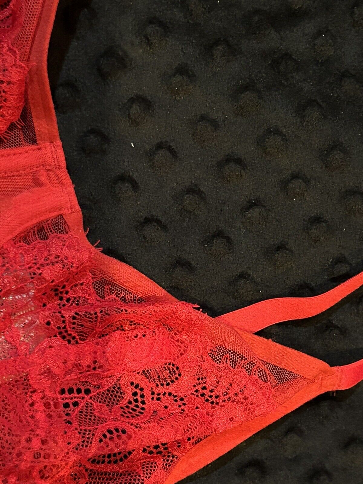 INC International Concepts Underwire Lace Bra Ski Patrol